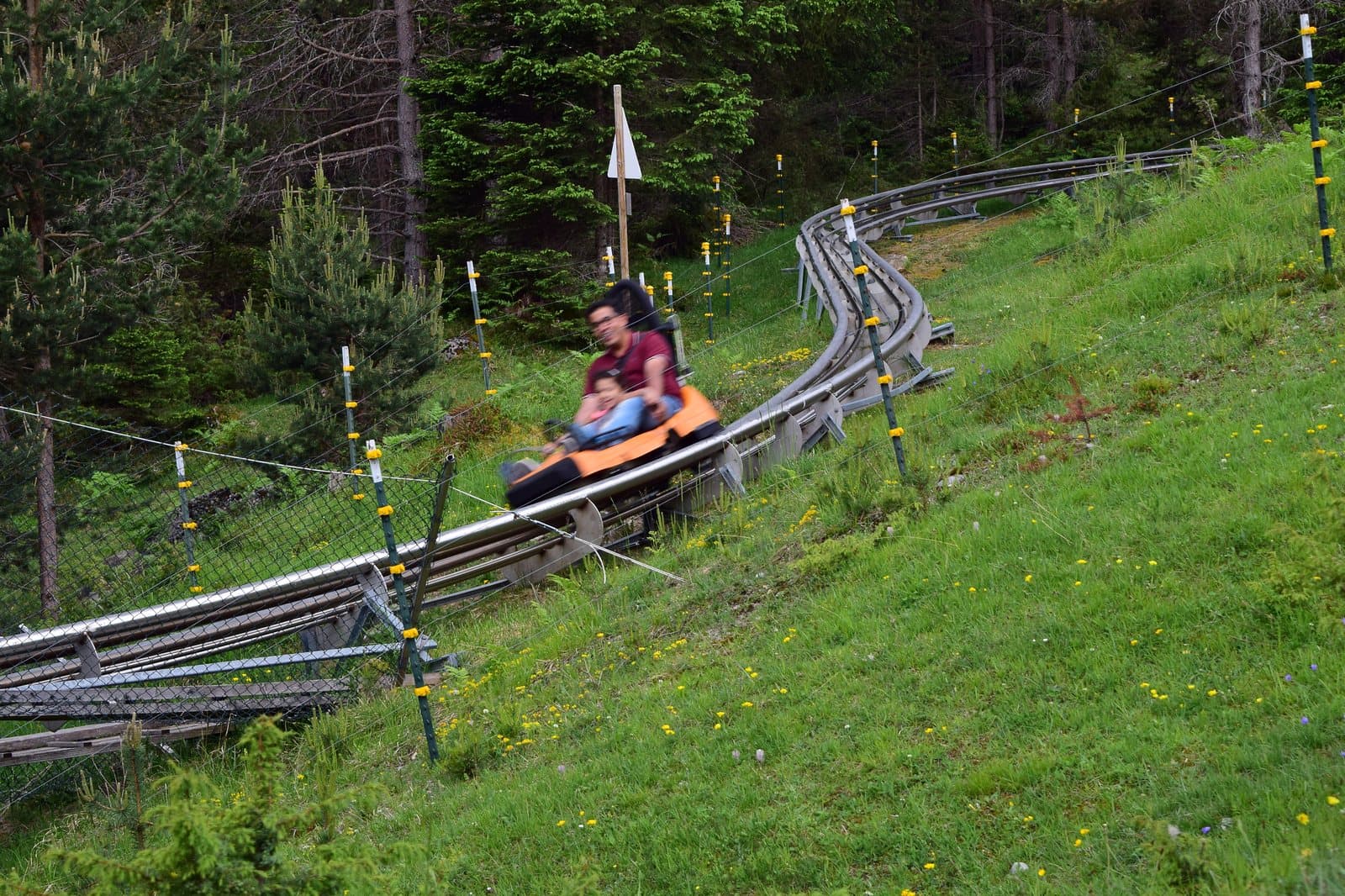 Riders in a cart on a winding alpine coaster track through a green hillside