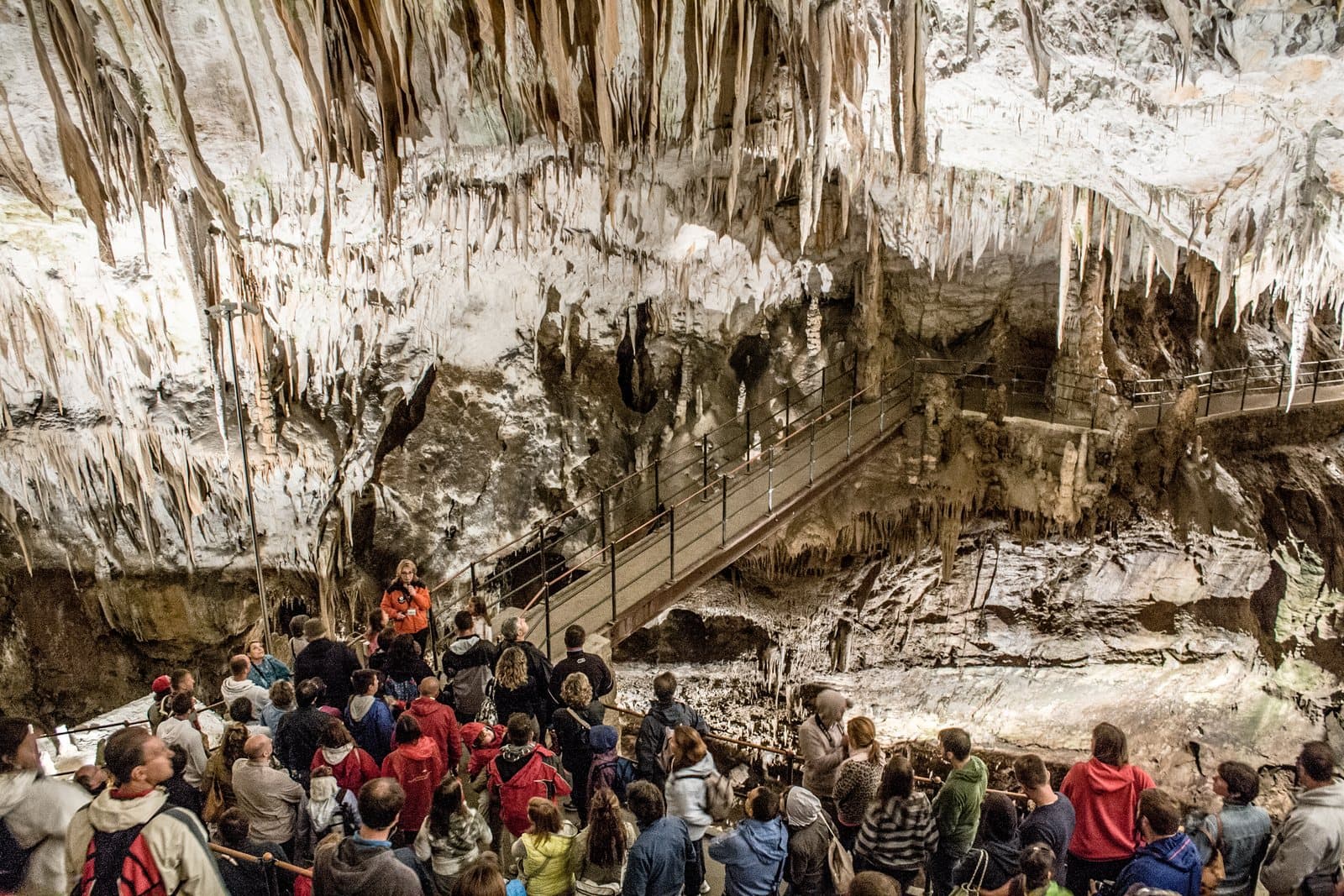 A tour group on a walkway inside a large cave hung with stalactites