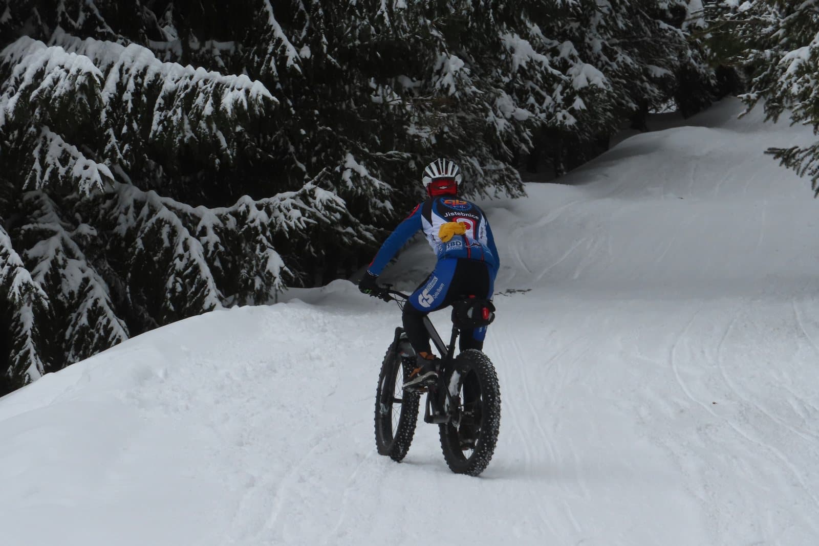 A rider on a fat-tire bike pedaling along a snowy forest trail