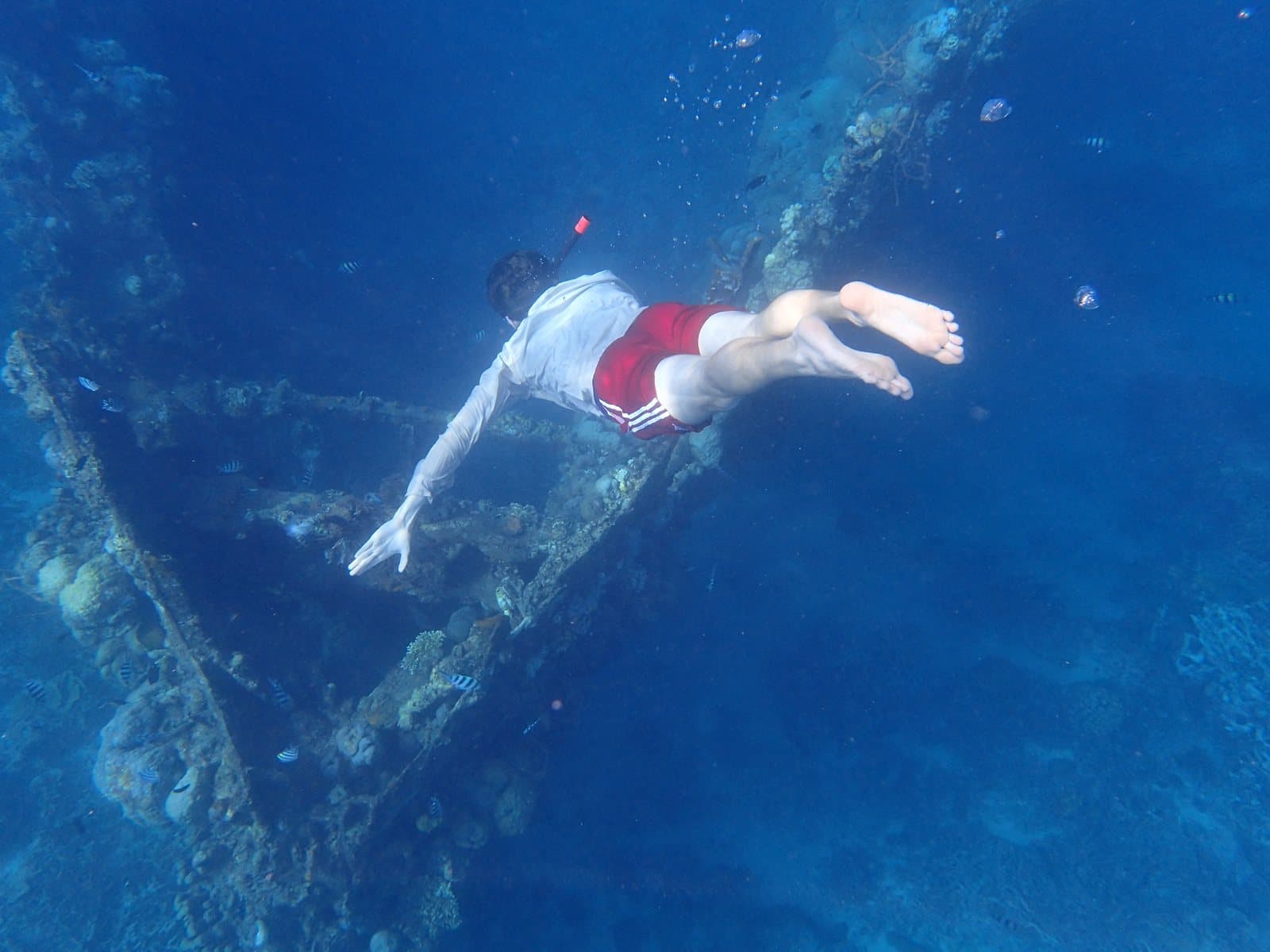 A freediver swimming down over an underwater wreck