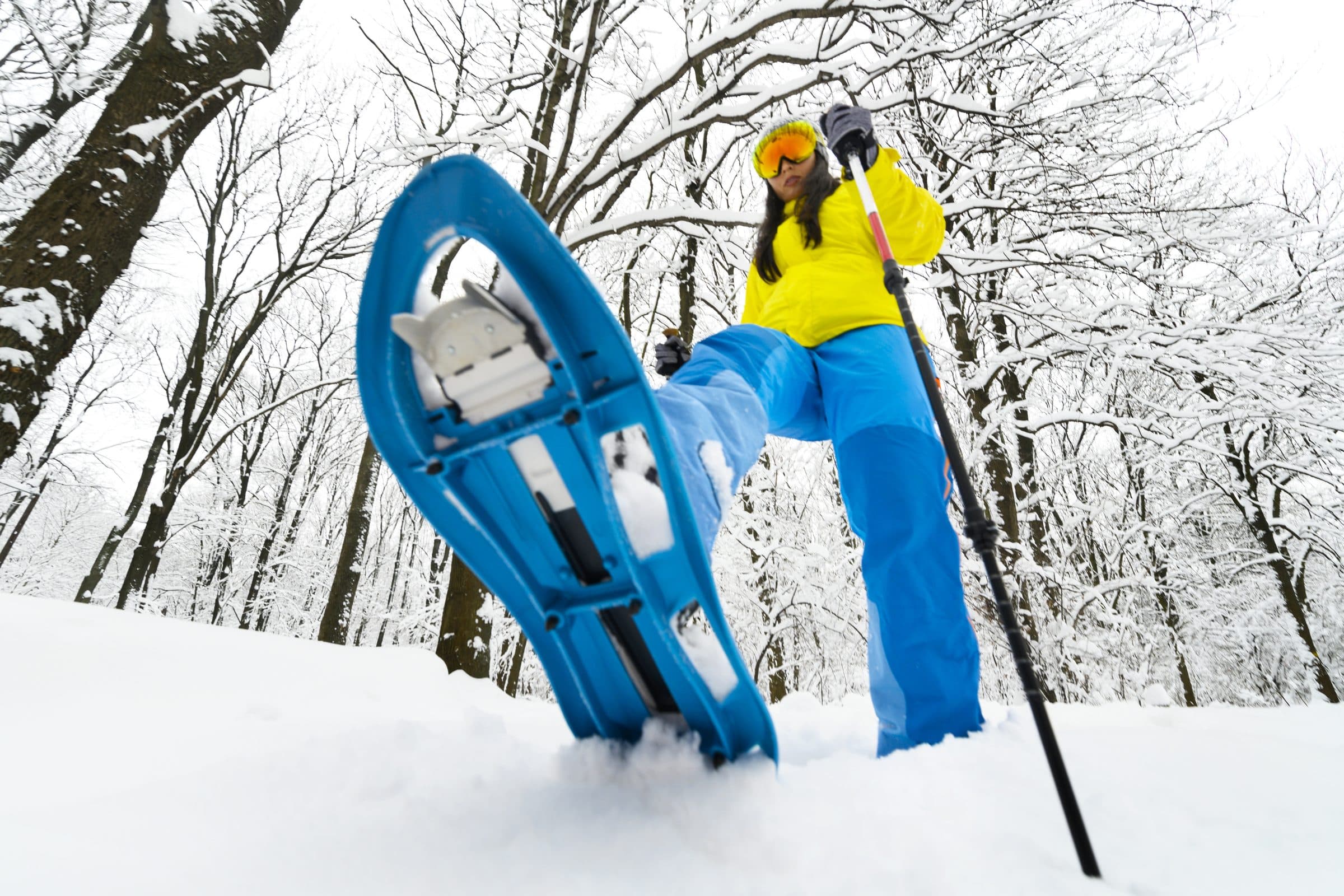 Low-angle snowshoer stepping toward camera in snowy forest, snowshoe huge in frame