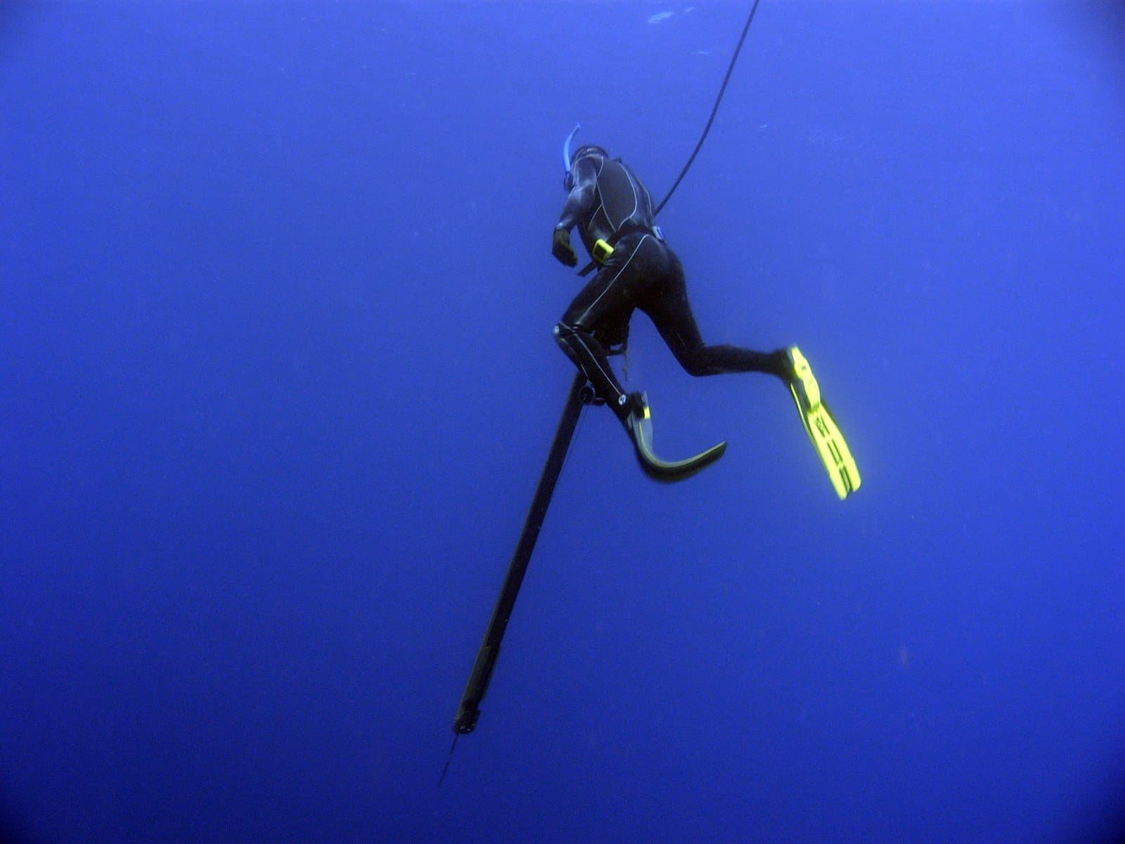 A freediving spearfisher with fins and a speargun swimming down through deep blue water